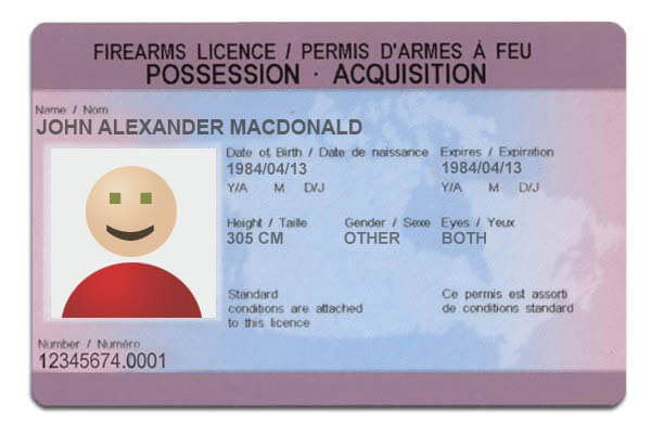 A PAL is a pink and blue ID card with your photo and some important information on it. A PAL is a pink and blue ID card with your photo and some important information on it.